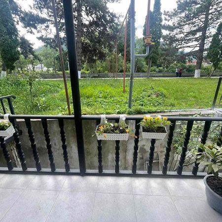 New Borjomi Apartment Exterior photo